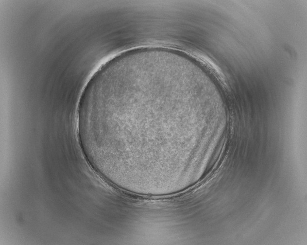 X0000115041280200912071101