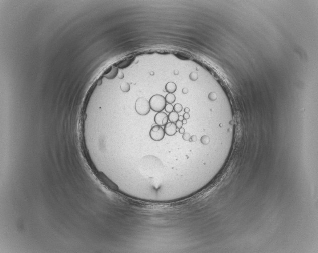 X0000115041282200912071101