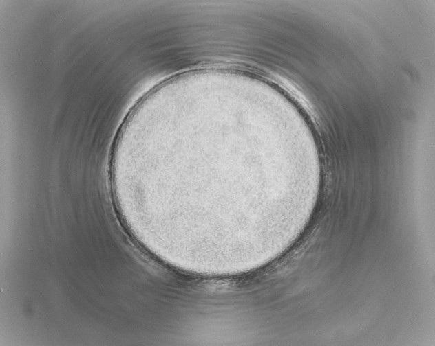 X0000115041283200912071101