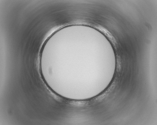 X0000115041286200912071101