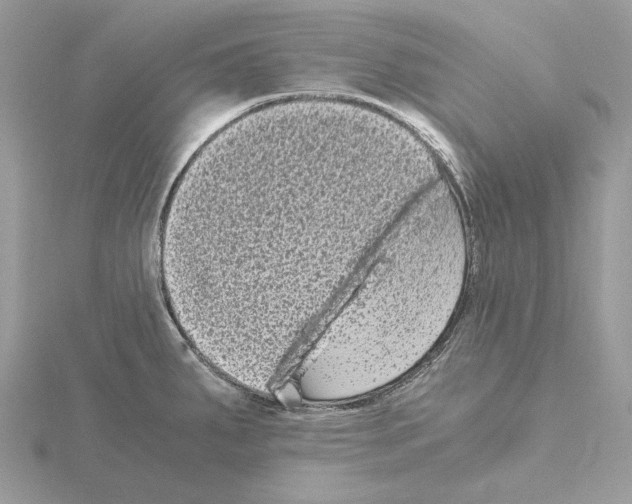 X0000115041287200912071101