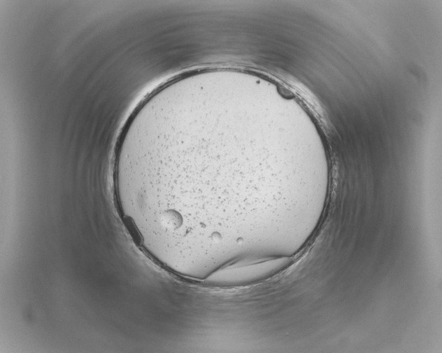 X0000115041288200912071101