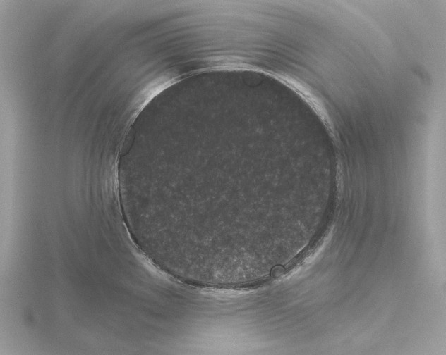 X0000115041289200912071101