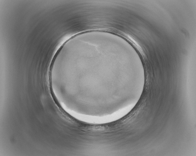 X0000115041291200912071101