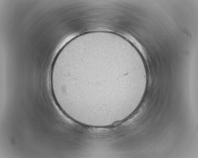 X0000115041293200912071101