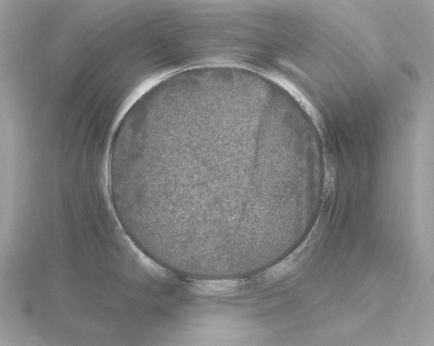 X0000115041294200912071101