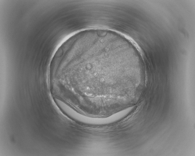 X0000115041295200912071101