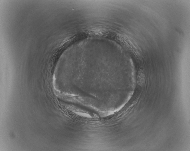 X0000115041297200912071101