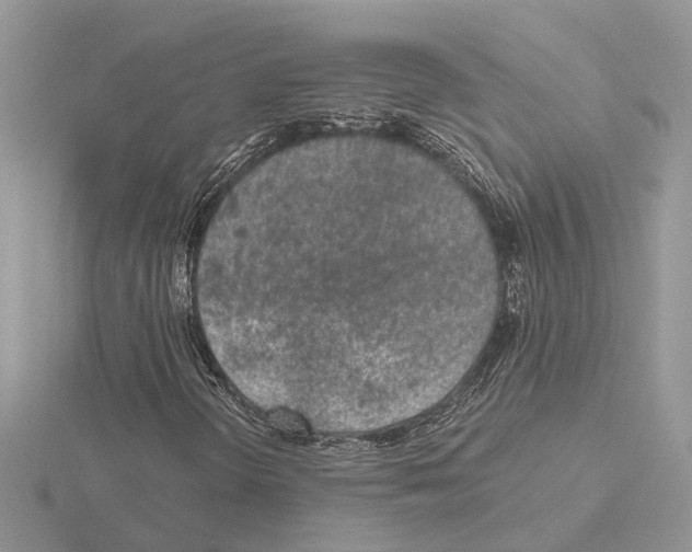 X0000115041298200912071101