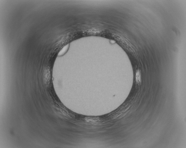 X0000115041299200912071101