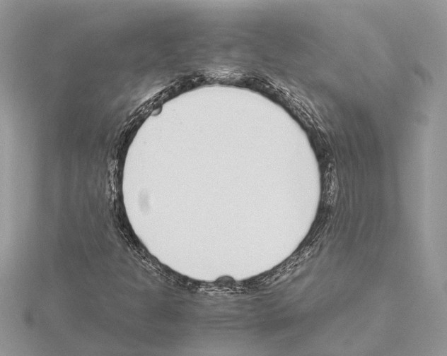 X0000115041301200912071101