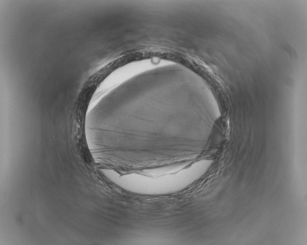 X0000115041303200912071101