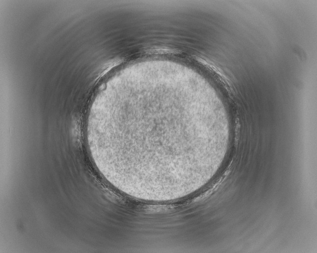 X0000115041305200912071101