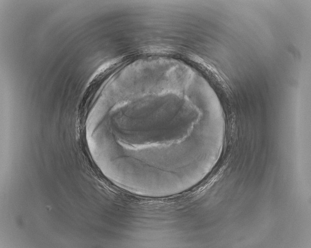 X0000115041306200912071101