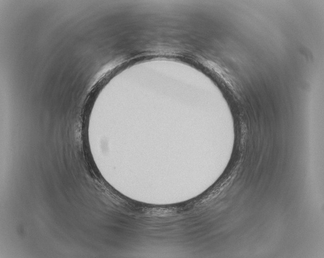 X0000115041307200912071101