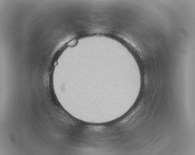 X0000115041309200912071101