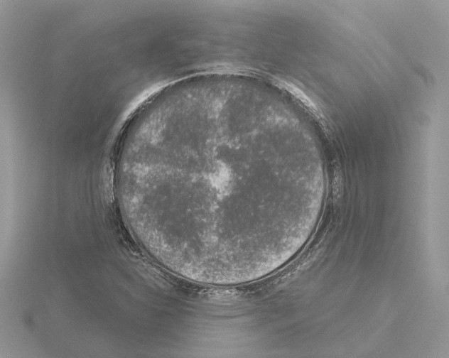 X0000115041310200912071101