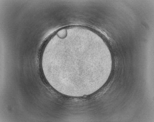 X0000115041311200912071101