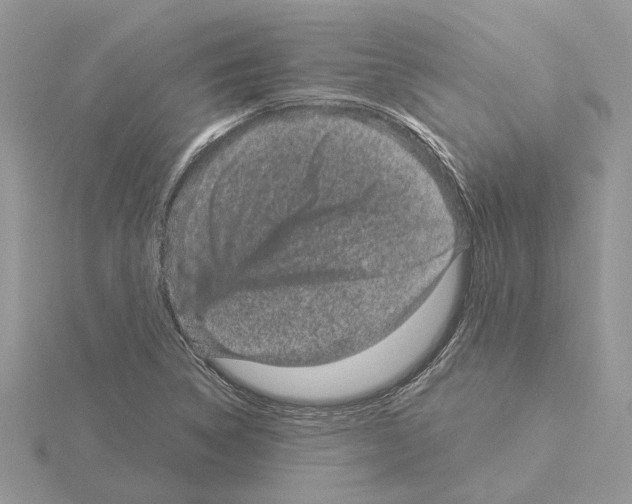 X0000115041314200912071101