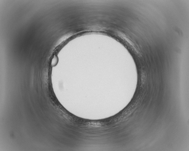 X0000115041315200912071101