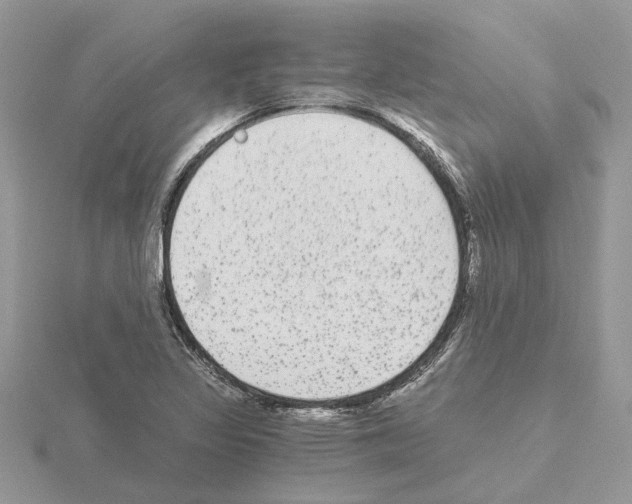 X0000115041317200912071101