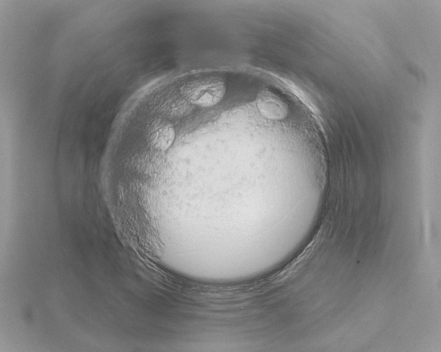 X0000115041318200912071101