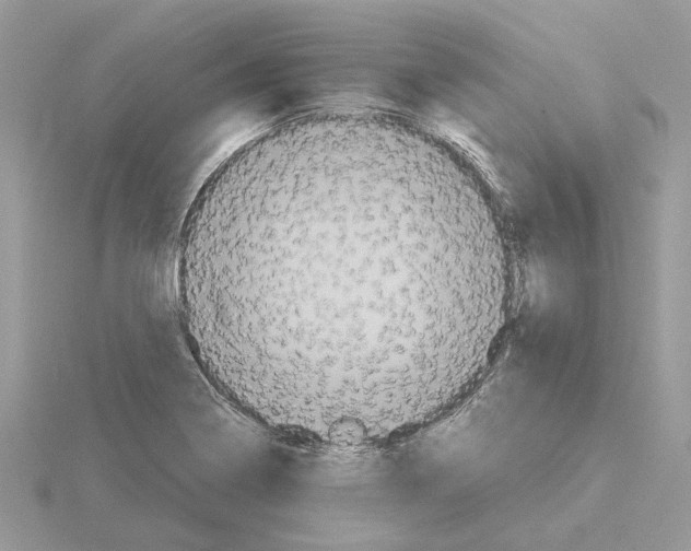 X0000115041322200912071101