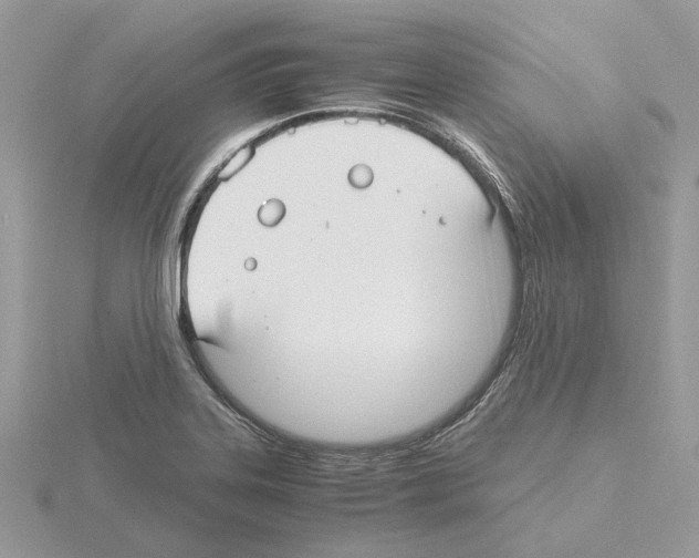 X0000115041323200912071101