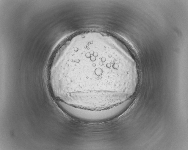 X0000115041325200912071101