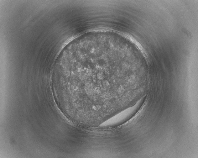 X0000115041329200912071101