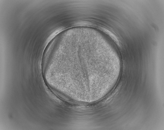 X0000115041330200912071101