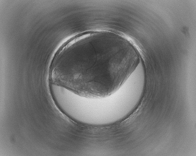 X0000115041331200912071101