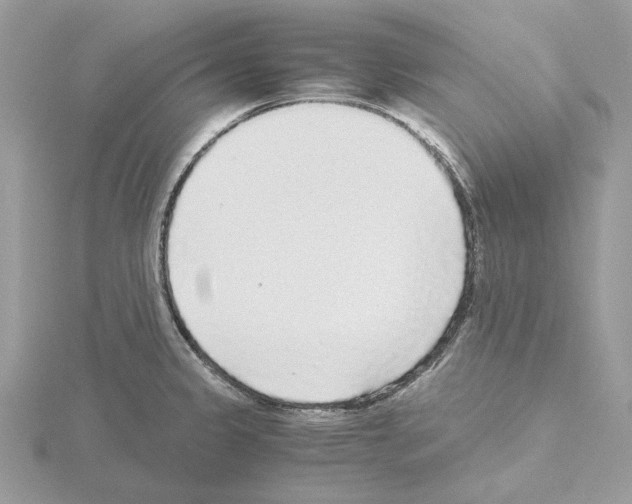 X0000115041333200912071101