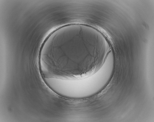 X0000115041334200912071101