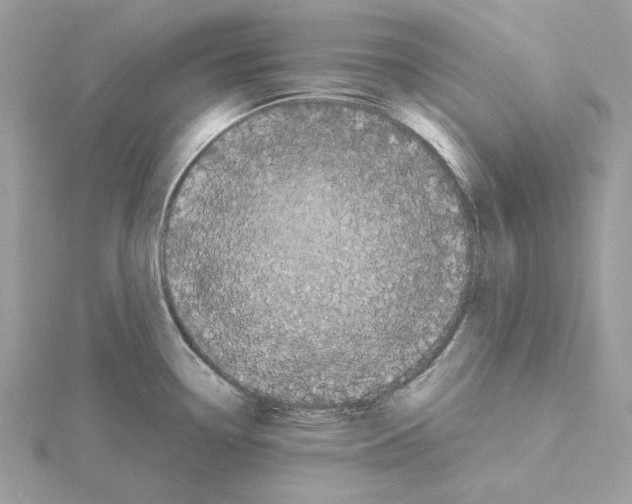 X0000115041338200912071101