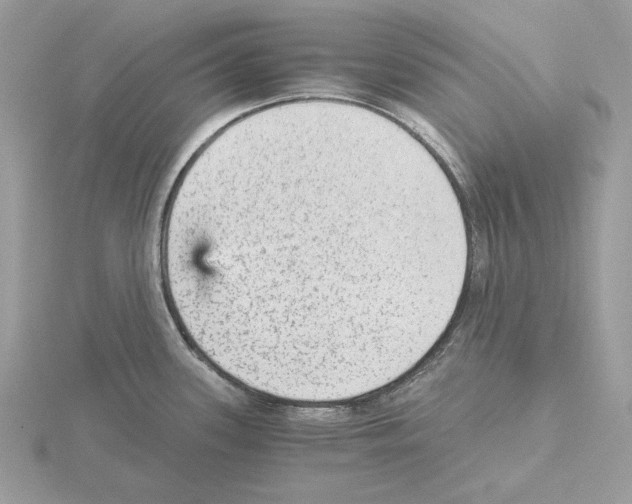 X0000115041339200912071101