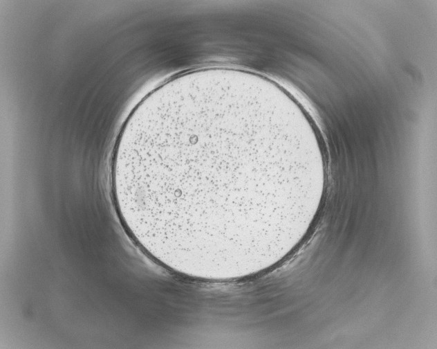 X0000115041341200912071101