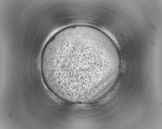 X0000115041342200912071101