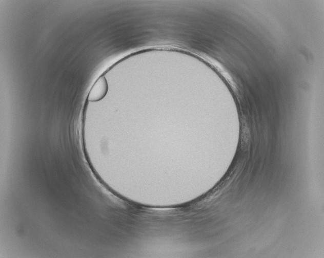 X0000115041343200912071101