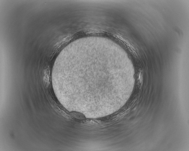 X0000115041348200912071100