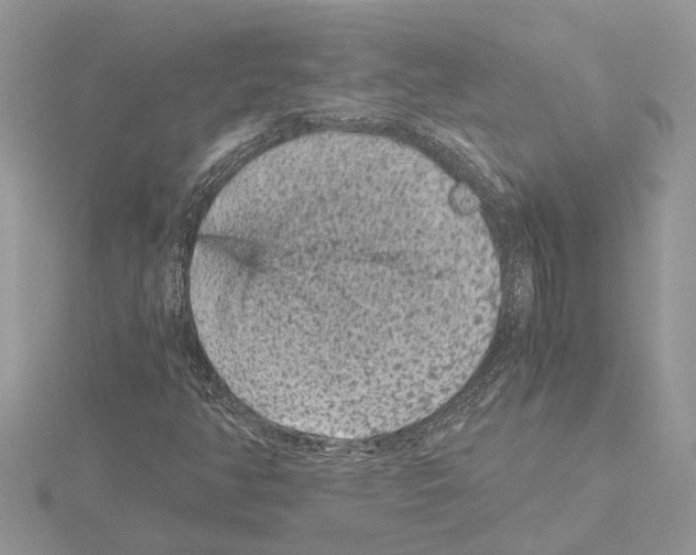 X0000115041350200912071100