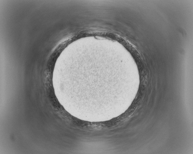 X0000115041351200912071100