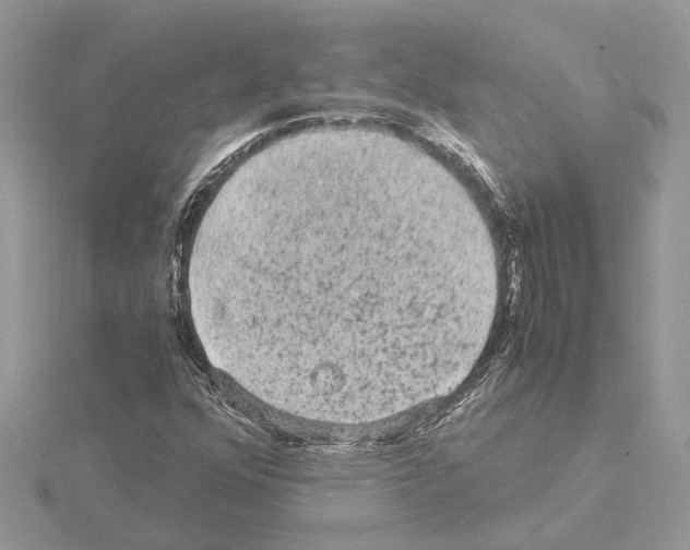 X0000115041352200912071100