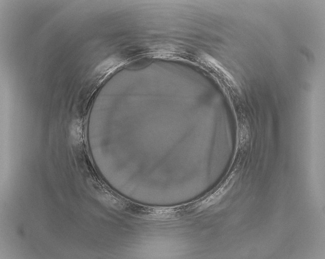 X0000115041353200912071100