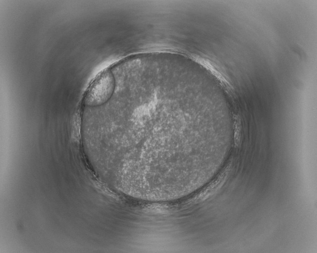 X0000115041358200912071100