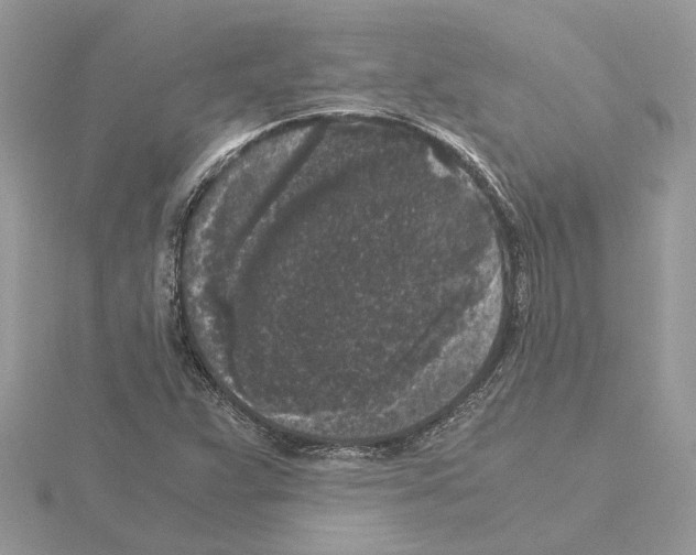 X0000115041359200912071100