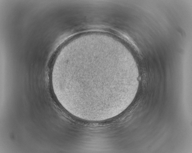 X0000115041360200912071100