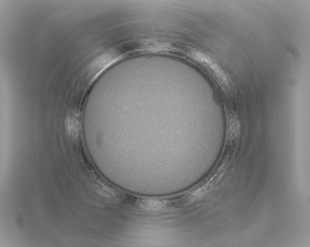 X0000115041361200912071100