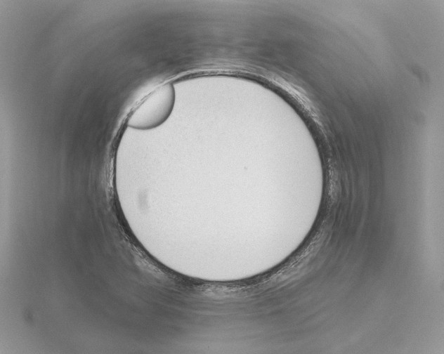 X0000115041366200912071100