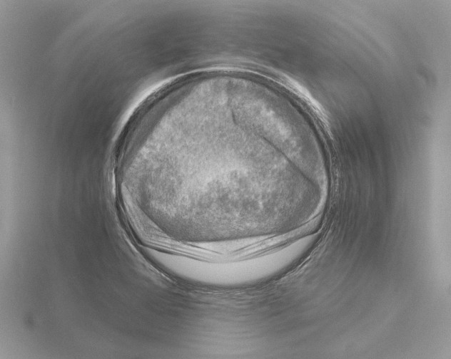 X0000115041368200912071100